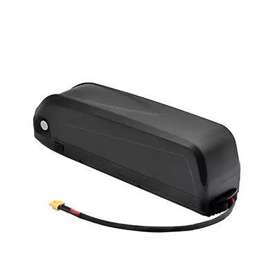 Hailong Ebike Pil